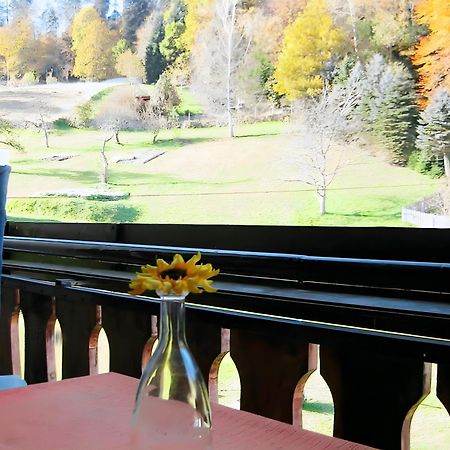 Haus Muehlgrund Apartman Bad Wildbad Kültér fotó