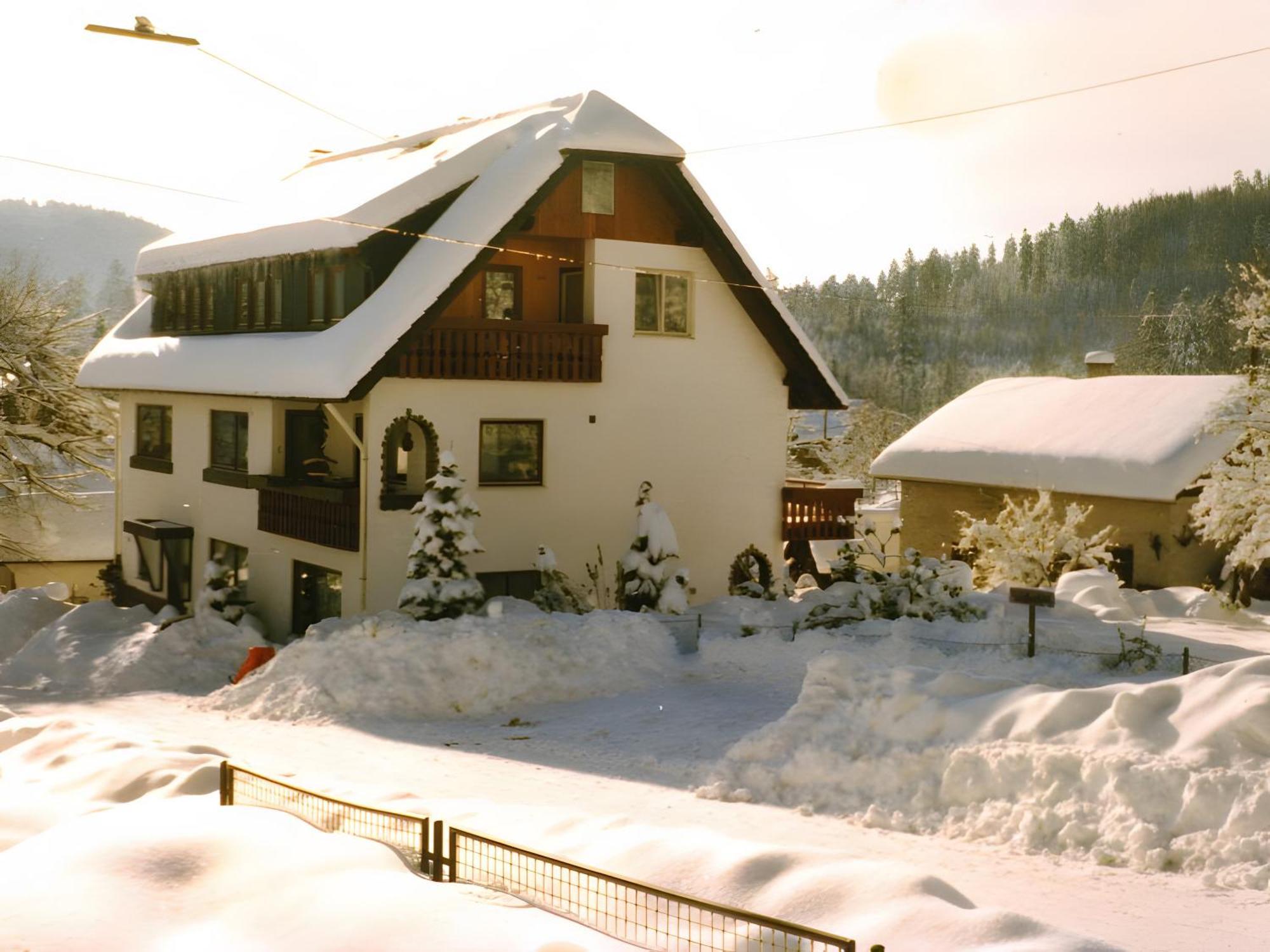 Haus Muehlgrund Apartman Bad Wildbad Kültér fotó