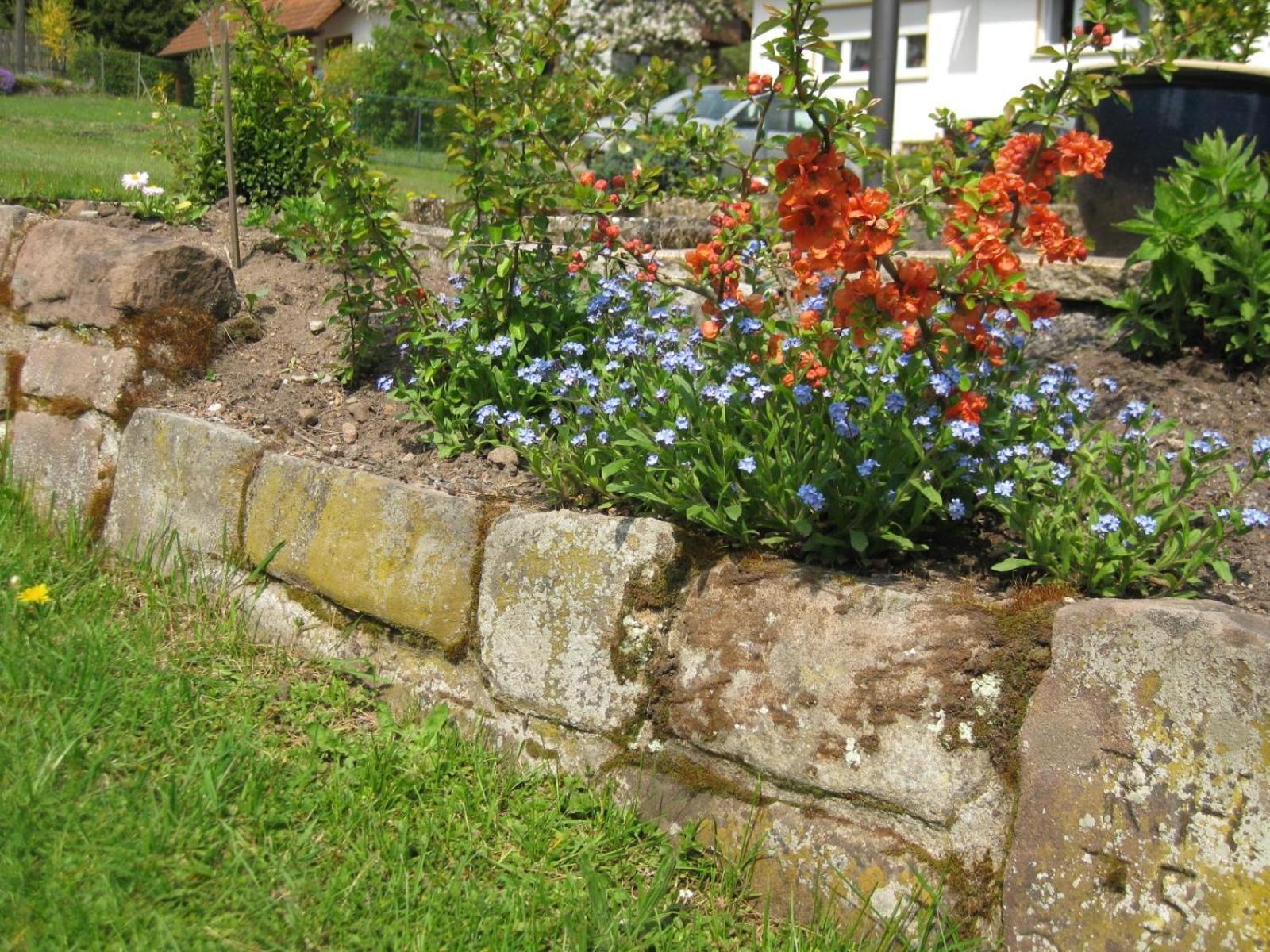 Haus Muehlgrund Apartman Bad Wildbad Kültér fotó