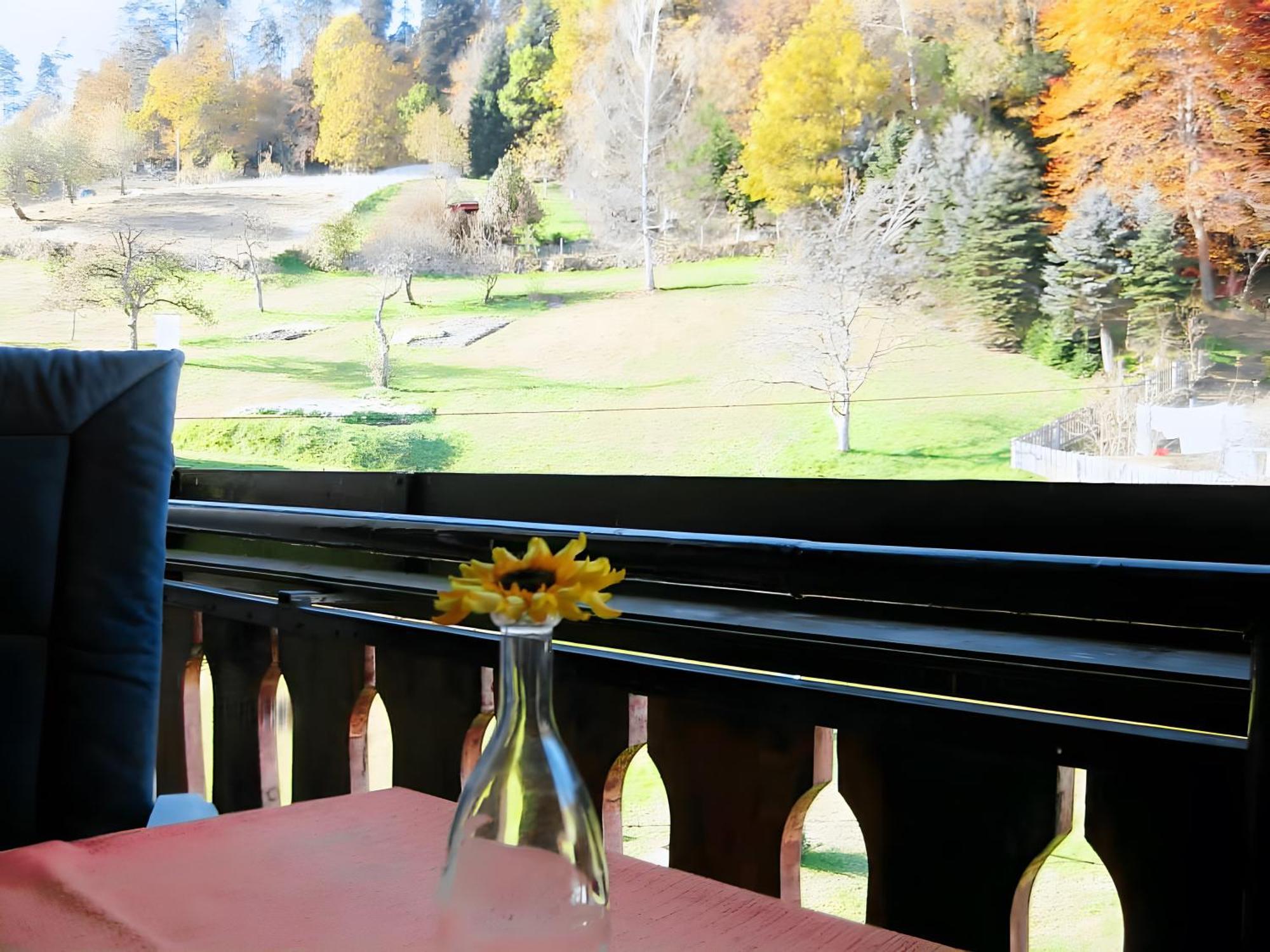 Haus Muehlgrund Apartman Bad Wildbad Kültér fotó