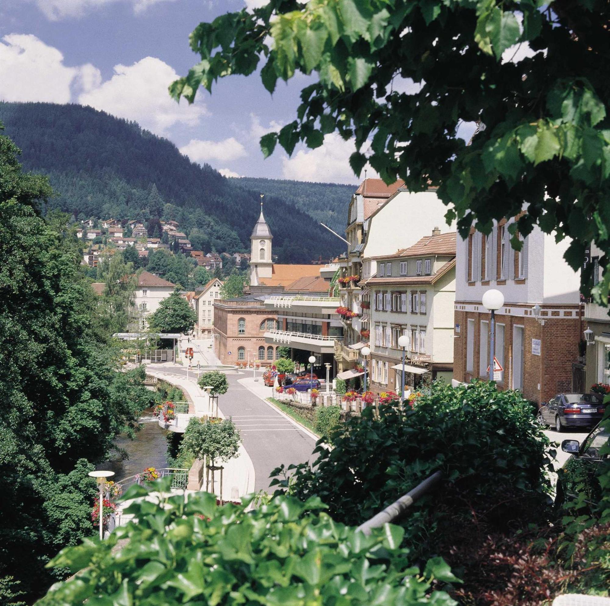 Haus Muehlgrund Apartman Bad Wildbad Kültér fotó