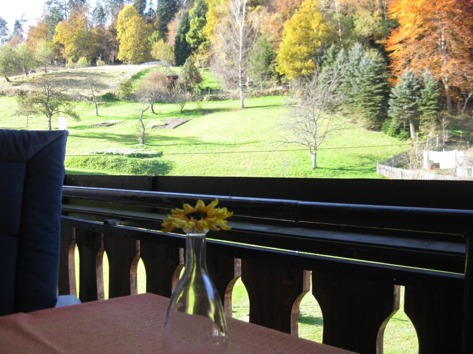 Haus Muehlgrund Apartman Bad Wildbad Kültér fotó